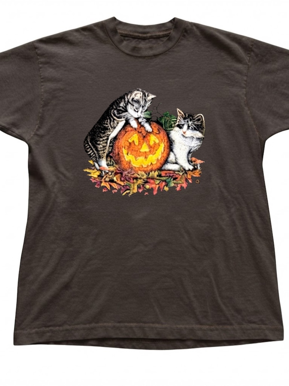 Cute Kittens Pumpkin Autumn Graphic Print Dark Brown Gildan T-Shirt Halloween